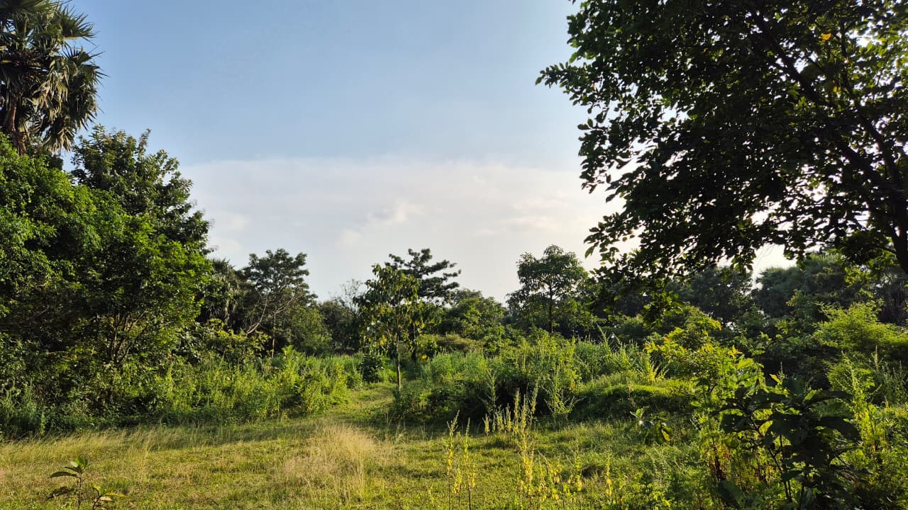 Scenic Ooty hills and gardens during pleasant summer weather