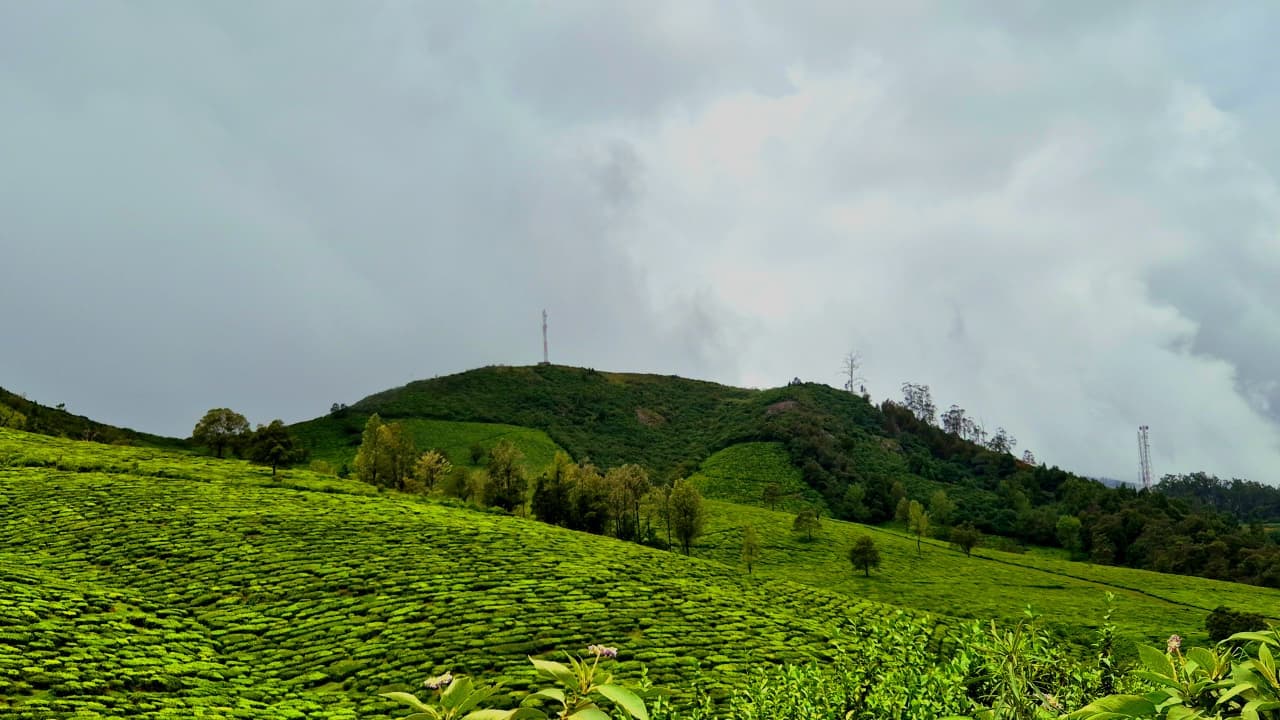 Scenic Ooty hills with tea gardens, lakes, and misty landscapes